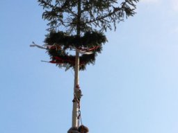 2016-Maibaumsteigen (8)